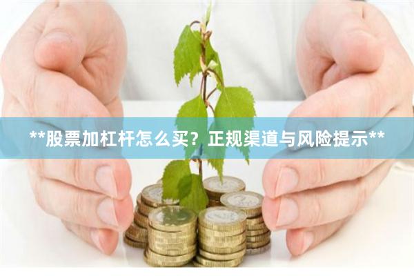 **股票加杠杆怎么买？正规渠道与风险提示**